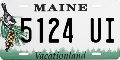 ME license plate 5124UI