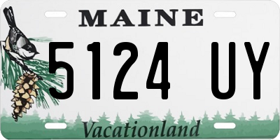 ME license plate 5124UY