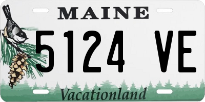 ME license plate 5124VE