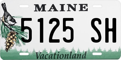 ME license plate 5125SH