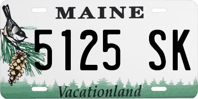ME license plate 5125SK