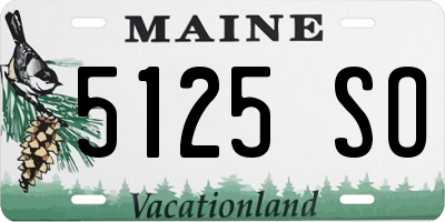 ME license plate 5125SO