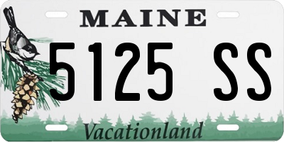 ME license plate 5125SS