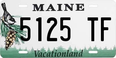 ME license plate 5125TF
