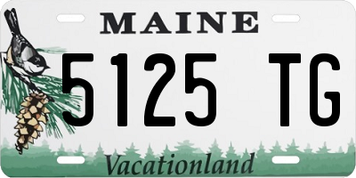 ME license plate 5125TG