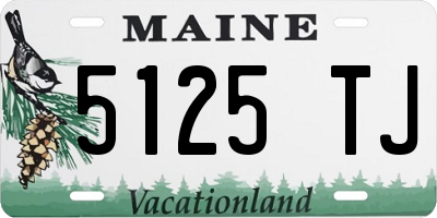 ME license plate 5125TJ