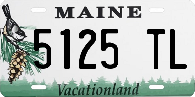 ME license plate 5125TL
