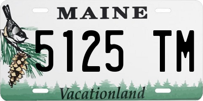 ME license plate 5125TM