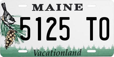 ME license plate 5125TO