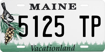 ME license plate 5125TP