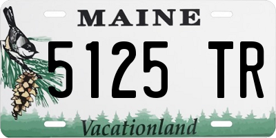 ME license plate 5125TR