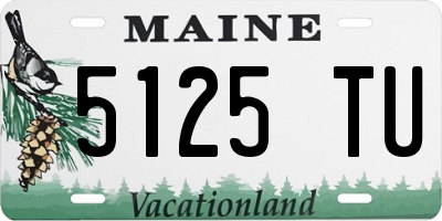 ME license plate 5125TU