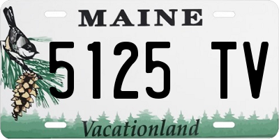 ME license plate 5125TV