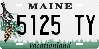 ME license plate 5125TY