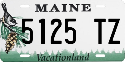 ME license plate 5125TZ