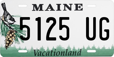 ME license plate 5125UG