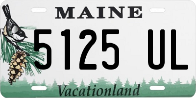 ME license plate 5125UL