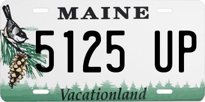 ME license plate 5125UP