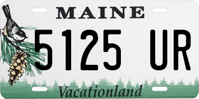 ME license plate 5125UR