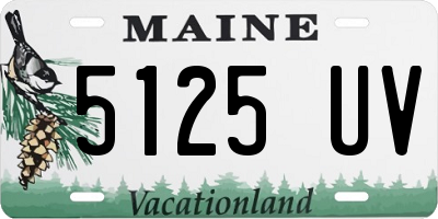 ME license plate 5125UV