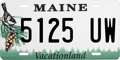 ME license plate 5125UW