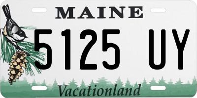 ME license plate 5125UY