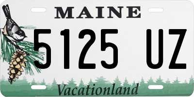 ME license plate 5125UZ