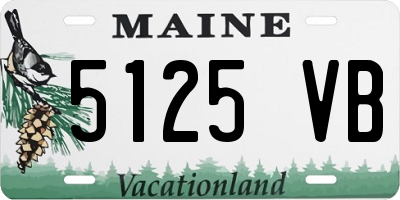 ME license plate 5125VB