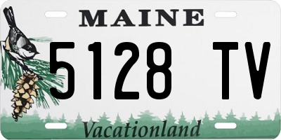 ME license plate 5128TV