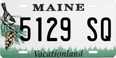 ME license plate 5129SQ