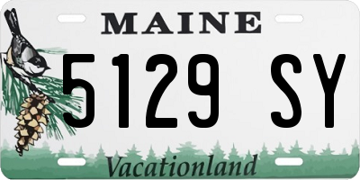 ME license plate 5129SY