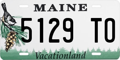 ME license plate 5129TO