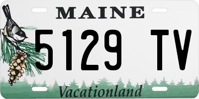 ME license plate 5129TV