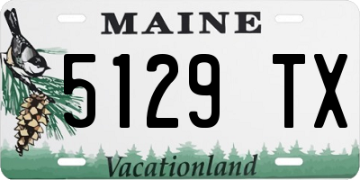 ME license plate 5129TX