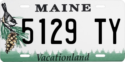 ME license plate 5129TY