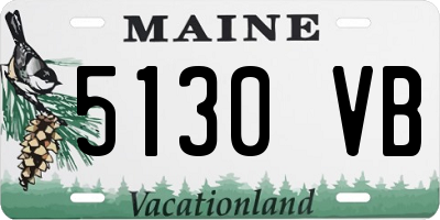 ME license plate 5130VB