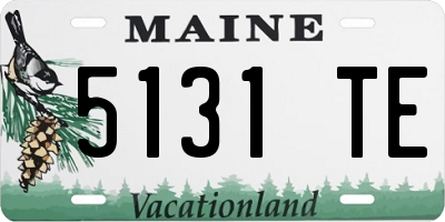 ME license plate 5131TE
