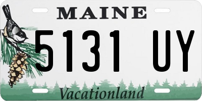 ME license plate 5131UY