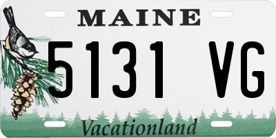 ME license plate 5131VG