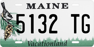 ME license plate 5132TG