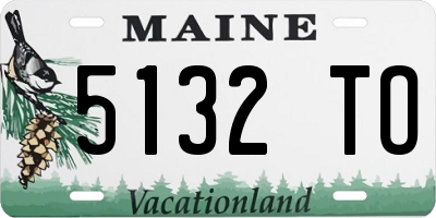 ME license plate 5132TO