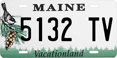 ME license plate 5132TV
