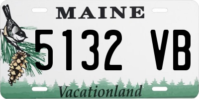 ME license plate 5132VB
