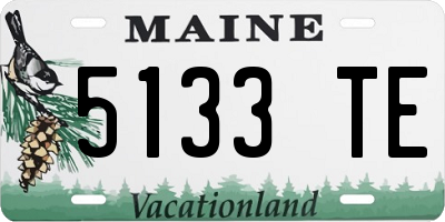 ME license plate 5133TE