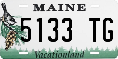 ME license plate 5133TG