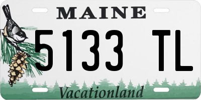 ME license plate 5133TL