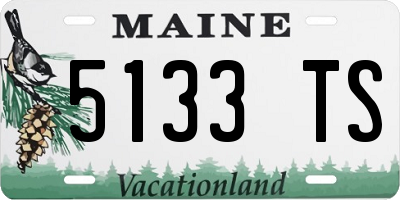 ME license plate 5133TS