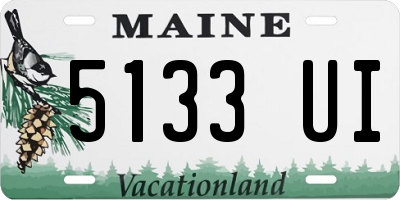 ME license plate 5133UI