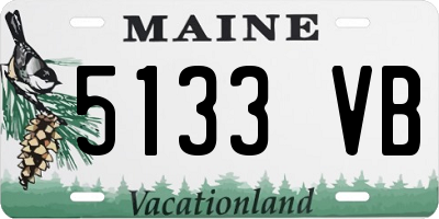 ME license plate 5133VB