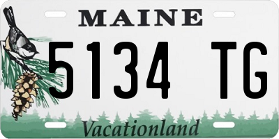 ME license plate 5134TG